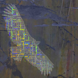 Vautour en fête, Vautour fauve