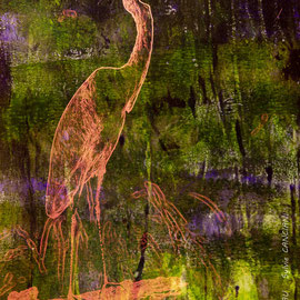 L'aigrette flamboyante, Grande aigrette