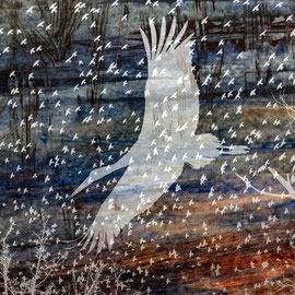 Multitude, Cigogne blanche et étourneaux