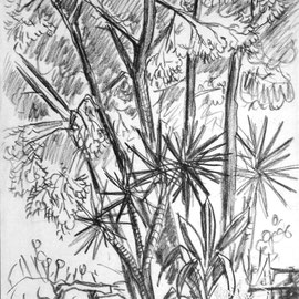 Nachbars Garten