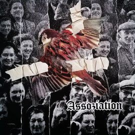 ASSOZIATION
