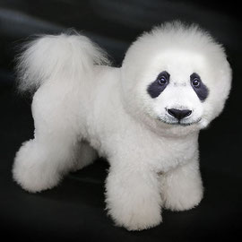 Panda-Poodle (OliviaM)