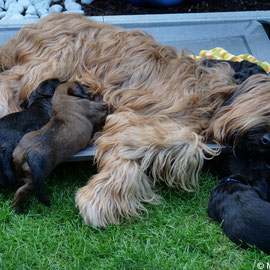 kuscheln bei Mama