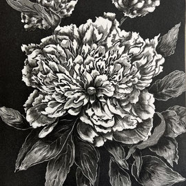 "Fascinante pivoine" burin et aquatinte sur cuivre, 27 x21 cm