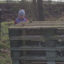 bug hotel