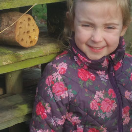 bug hotel