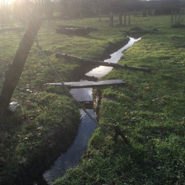 Grabenprojekt zur Entwässerung