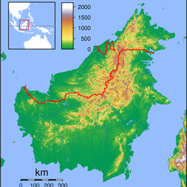 Borneo: searching for the world's biggest snake