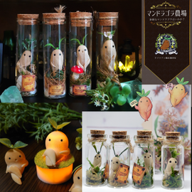 マンドラゴラ農場