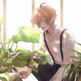 植物