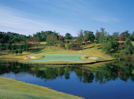 グランディ那須白河ゴルフクラブ (名物ホール) SOUTHコース 8番 PAR3