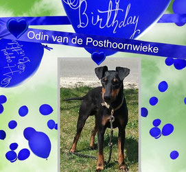 Bild anklicken um zu vergrößern 