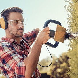 Gartenpflege Hecken schneiden in Ulm