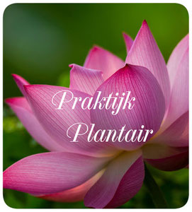 Logo PedicurePraktijk Plantair Breda