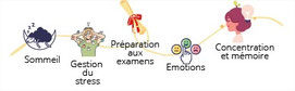 coaching et accompagnement individuel Maubourguet Court'Echelle