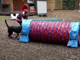 GOOD DOGS Hundeschule in Rodgau, Heusenstamm, Dietzenbach, Obertshausen, Neu-Isenburg, Dreieich, Rödermark, Offenbach