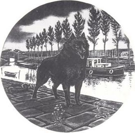 Royal Schipperke Club Belge
