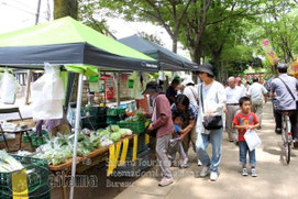 武蔵一宮氷川神社植木草花市