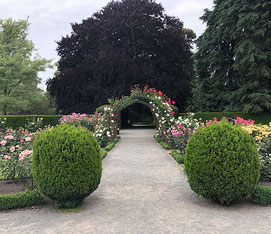 Botanic Gardens Christchurch