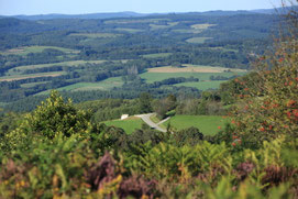 randonnée avec un âne : circuit monts et bocages (3 jours en Limousin)