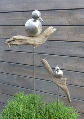 Vogel und Mini Kiwi / Beispiel