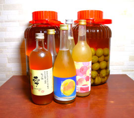 梅酒各種