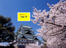 名古屋城