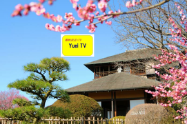 水戸市・偕楽園