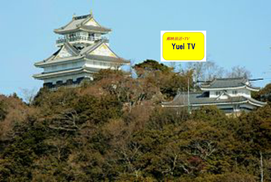 岐阜市・金華山城