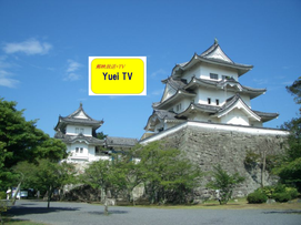 伊賀上野城