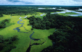 Rio Negro, Amazonas