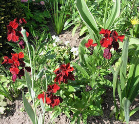 Intelligente Haustechnik auch im Garten