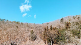 冬晴の青空と里山