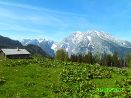 YogaHaus Berchtesgaden Brigitte Pfnür