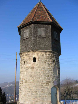 © Traudi