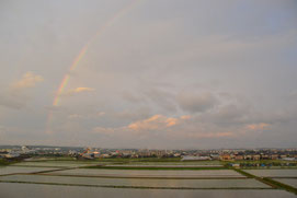 6月　早苗餐（さなぼり）の　夕暮れの田に　虹が立ち