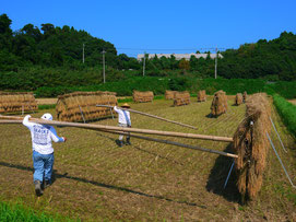 平成25年9月　石川県志賀町の「はぞがけ」風景