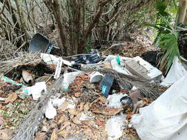 Mexique, yucatan : déchets jetés dans la jungle juste à côté d'un hôtel