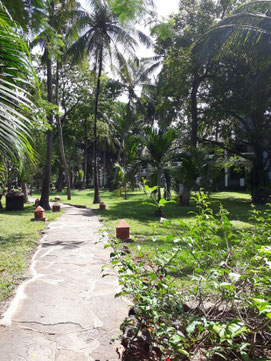 Hotelweg, Hotel Severin Sea Lodge, Kenia, Afrika