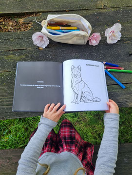 Sach- und Malbuch "Welt der Hunderassen"