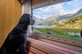 Un chien noir assis sur la banquette d'un camping car regarde par la fenêtre un paysage montagneux par coach canin 16 educateur canin à cognac