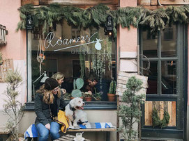 Top 5 Dog-Friendly Places in Berlin