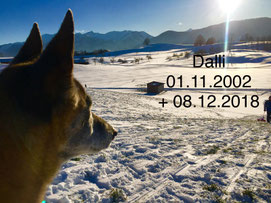 Download Schoene erinnerungen bleiben HD