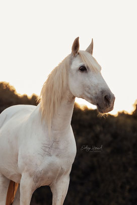 Foto von Clara Zeyffert