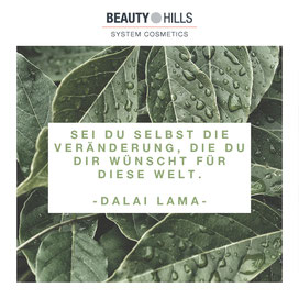 Werbemittel Online 4 Refill Beauty Hills System Cosmetics
