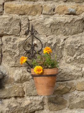 Ein Blumentopf an einer Mauer in Plottes