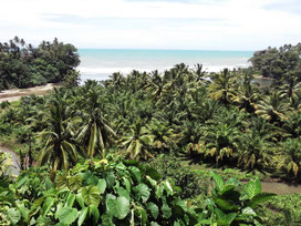 West coast Sumatra