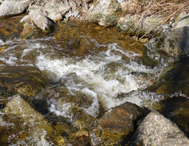 Kraftvoll fließendes Wasser; MediTrigon 