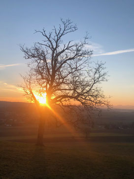 Foto by eve-on