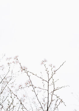 photo by Masaaki Komori